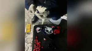 Сбыт мефедрона пресекли полицейские в Кокшетау