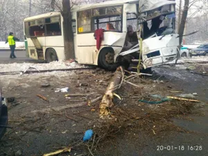 Автобус в Алматы столкнулся с деревом – пострадали восемь пассажиров