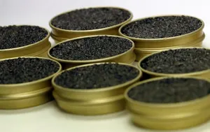 Қазақстанға 30 килограммнан астам уылдырық заңсыз әкелуге тырысты