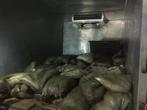 Тонну рыбы без документов изъяли у жителя Карагандинской области