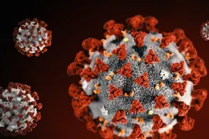 Сколько живет омикрон на различных поверхностях – исследования