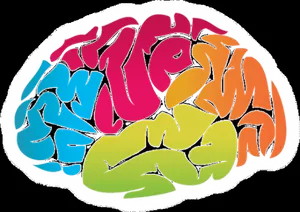 Интересные факты о нашем организме