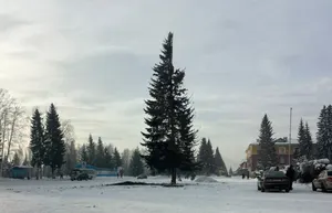 Главную городскую елку раскритиковали жители Алтая