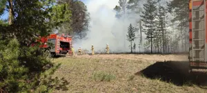 Режим ЧС объявят в Бородулихинском районе Абайской области