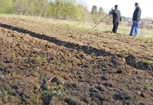 В РК ужесточат наказание за нарушение земельного закона