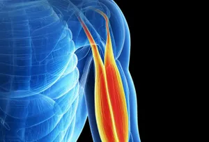 Обнаружен новый метод регенерации мышц