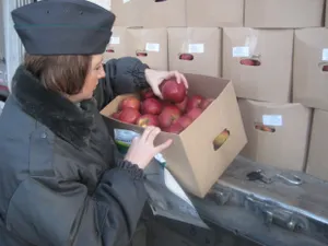 В Казахстане вновь обнаружили зараженные фрукты из Кыргызстана