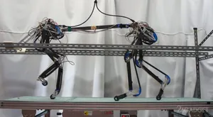 Четвероногий робот Pneupard сделал первые шаги