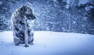 Штормовое предупреждение в четырех областях объявили синоптики