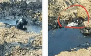 На свалку битума и щебня пожаловались жители села Павлодарское