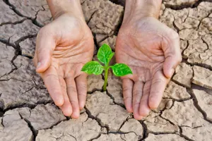 Из-за нехватки воды фермеры сокращают посевы в Казахстане