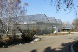 Что будет с алматинской станцией юных натуралистов?Эксклюзив