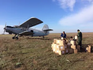 В Павлодаре начали авиаобработку поймы Иртыша против комаров