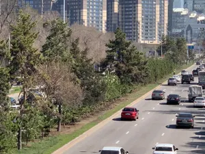 Началась высадка деревьев на проспекте Аль-Фараби в Алматы