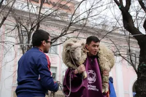 В Алматы установили новый рекорд по по поднятию кошкаров – 230 раз