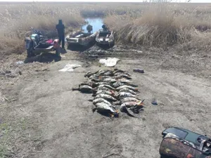 Сотрудник полиции задержан за незаконную охоту в СКО