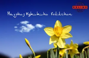 В Вашингтоне отметили Наурыз мейрамы