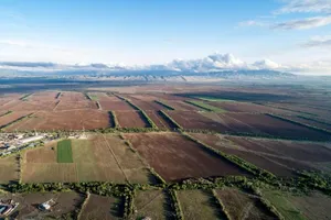 Неиспользуемые земли возвращены государству в Костанайской области