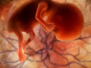 Тело недоношенного ребенка нашли в канализации Талдыкоргана