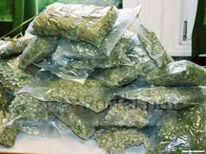 Житель Атырау прятал в вагоне 4кг марихуаны