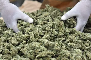 Талдықорған тұрғынынан 5 кг-нан астам гашиш тәркіленді