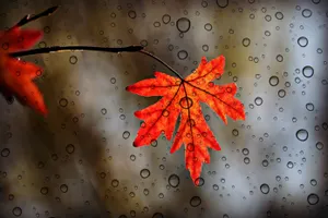 Понижение температуры и дожди ожидаются на юге Казахстана