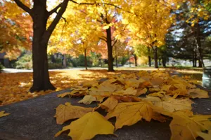 Синоптики прогнозируют теплые выходные в Казахстане