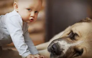 Дети болеют меньше, если в доме есть собака