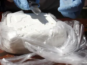 Алматыда 13 тоннадан астам кокаинның ең үлкен партиясы тартып алынды