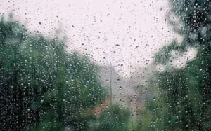 В Казахстане ожидаются дожди с порывистым ветром