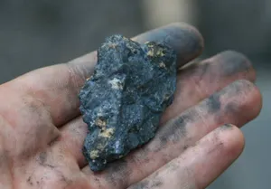 Правительству необходимо учитывать мнение населения – президент