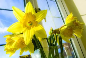 МОН РК не запрещало дарить учителям на 8 марта цветы