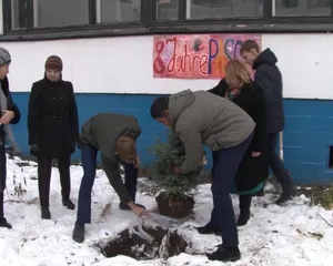 Павлодарские школьники назвали елку в честь ЭКСПО-2017