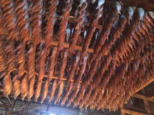 Атырауских предпринимателей проверяют по факту скупки браконьерской рыбы