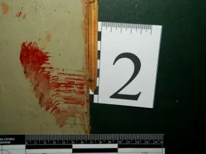 В Акмолинской области застрелен директор ТОО