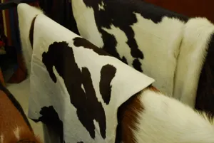 Ценное сырье животноводческой сферы выкидывается на свалки – сенатор