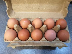 Диетолог рассказала, сколько яиц должен съедать человек за неделю