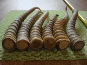 В ЗКО задержан браконьер с рогами сайгаков