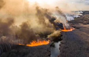 Радионуклиды попали в почву, и в воду в окрестностях Чернобыля