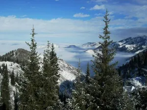 На проект «Кок Жайляу» пожаловались в Комитет Орхусской конвенции