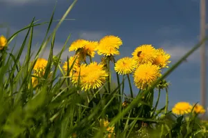 Погода без осадков ожидается на большей части Казахстана