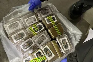 Крупнейшая в истории страны партия наркотиков изъята в Беларуси