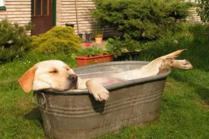 Погода без осадков ожидается на большей территории Казахстана