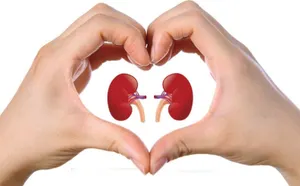 Какие продукты опасны при заболеваниях почек – эксперт