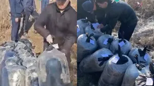 Павлодар облысында есірткіні ірі тарату арнасы жойылды