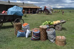 Кызылжарскую ярмарку воссоздали для съемок фильма о Балуане Шолаке