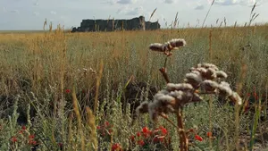 В Прииртышье под воду уходят останки известных султанов