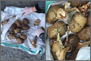 Осуждены торговцы оружием в Алматинской области