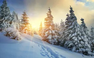 Переменная облачность ожидается в Казахстане