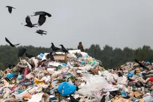 400 стихийных свалок с помощью космического мониторинга нашли в ЗКО